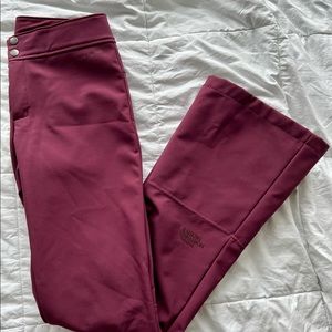 Never Worn! The North Face Womens Apex Snow Pants